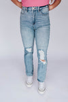 Jasmyn Distressed Denim